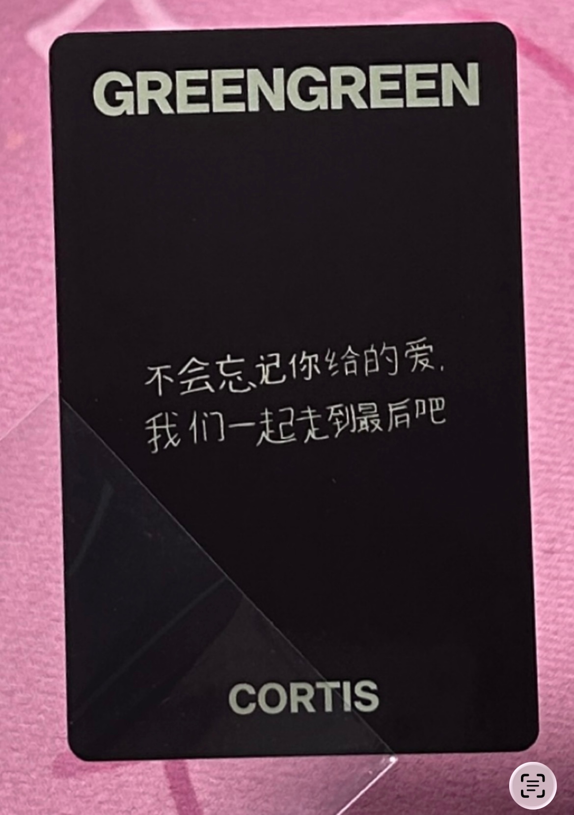 笨狗的字，真可爱 