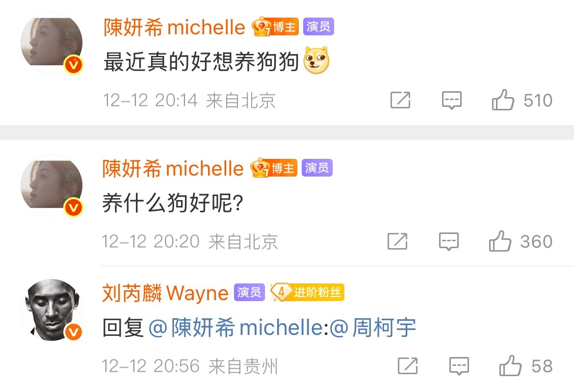 我受不了了刘芮麟魔丸来的。陈妍希 养什么狗好呢刘芮麟贴脸开大陈妍希周柯宇