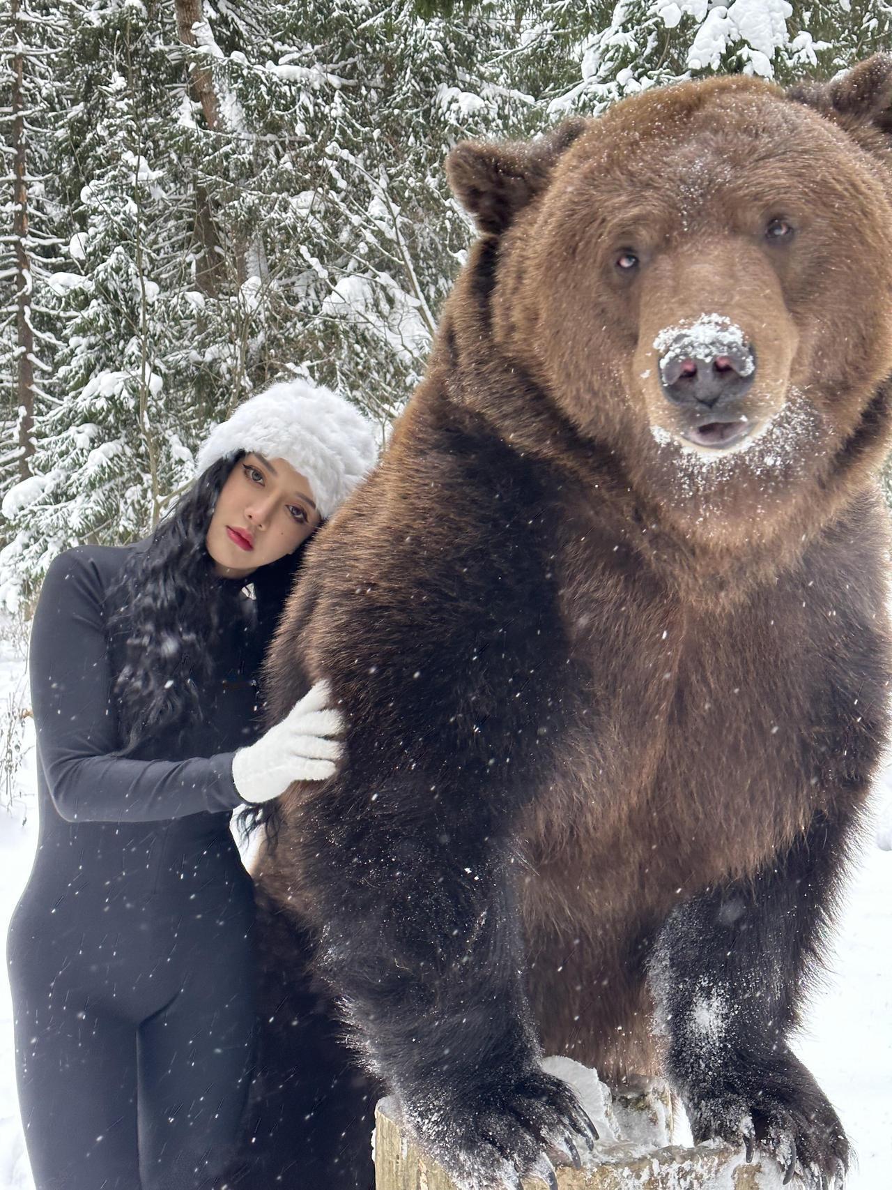 俄罗斯有一只大棕熊，名字好像叫做Tom 熊，它长得很威武，与之形成反差的是，性格