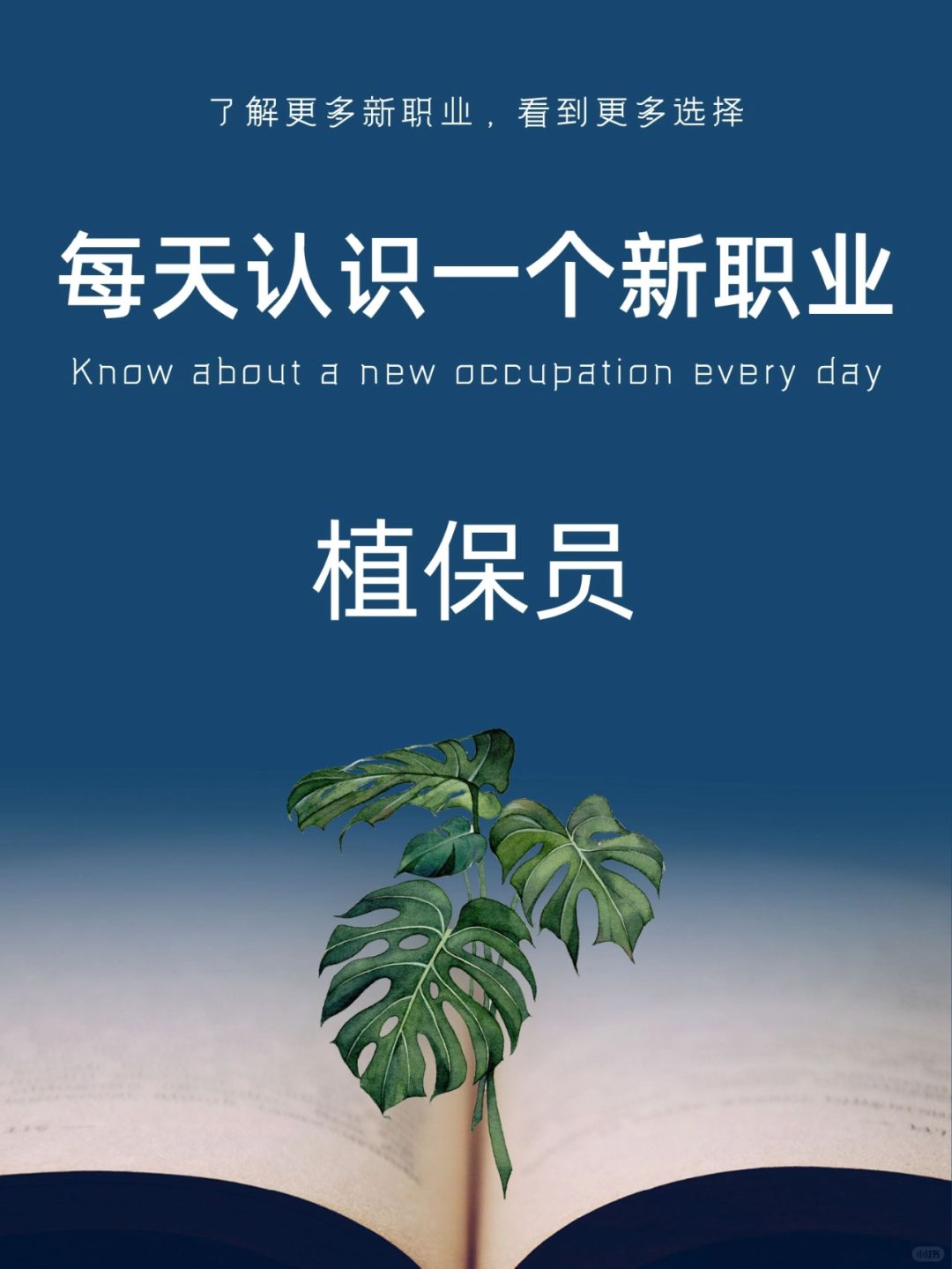 每天认识一个新职业｜植保员