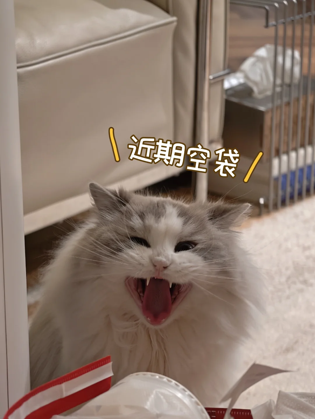 1117近期空袋