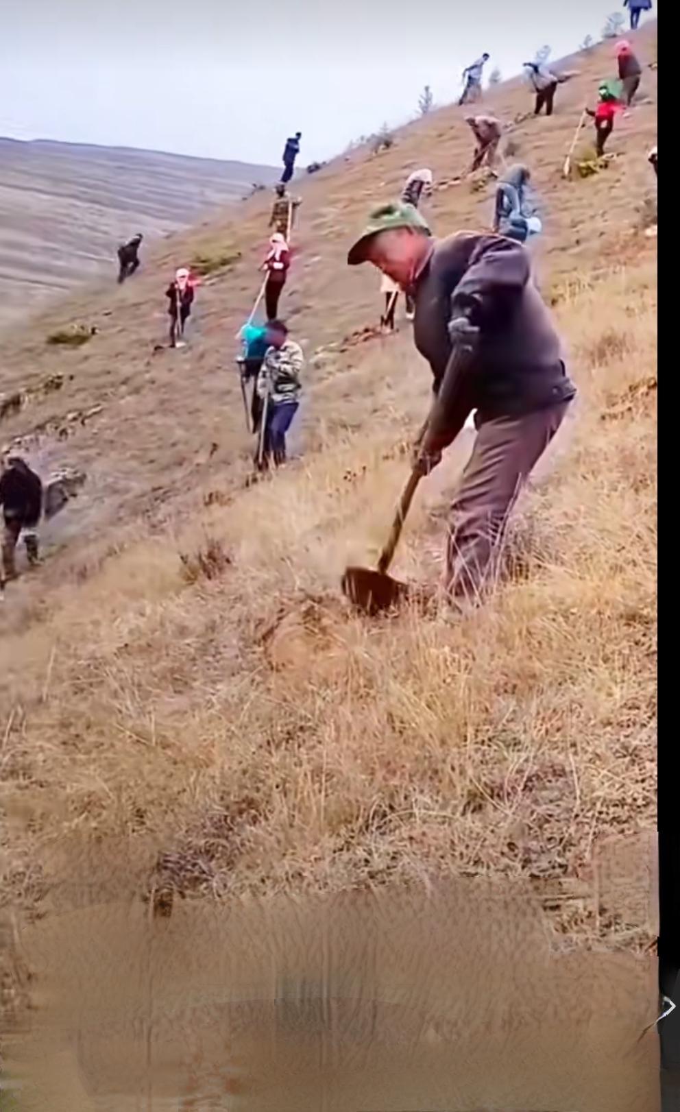 1. 超越短期利益的远见与信念
治沙往往需要数十年甚至几代人的努力才能看到明显成