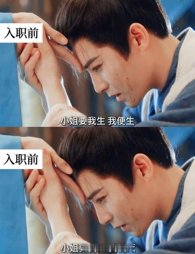 玉茗茶骨完全演我入职前后 陆江来入荣府前后反差萌拉满！从忠心小茶猫到硬气陆管事，