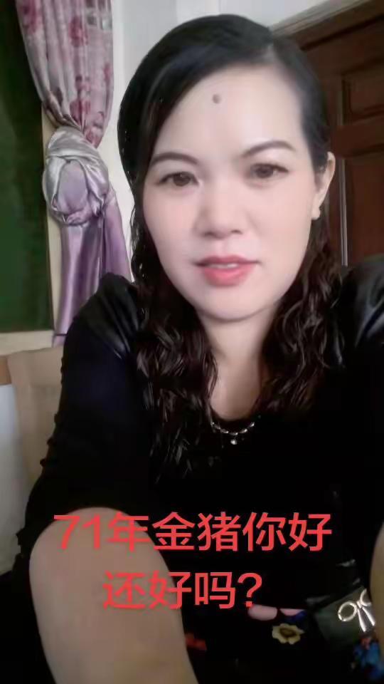 属猪的我输得一趟糊涂