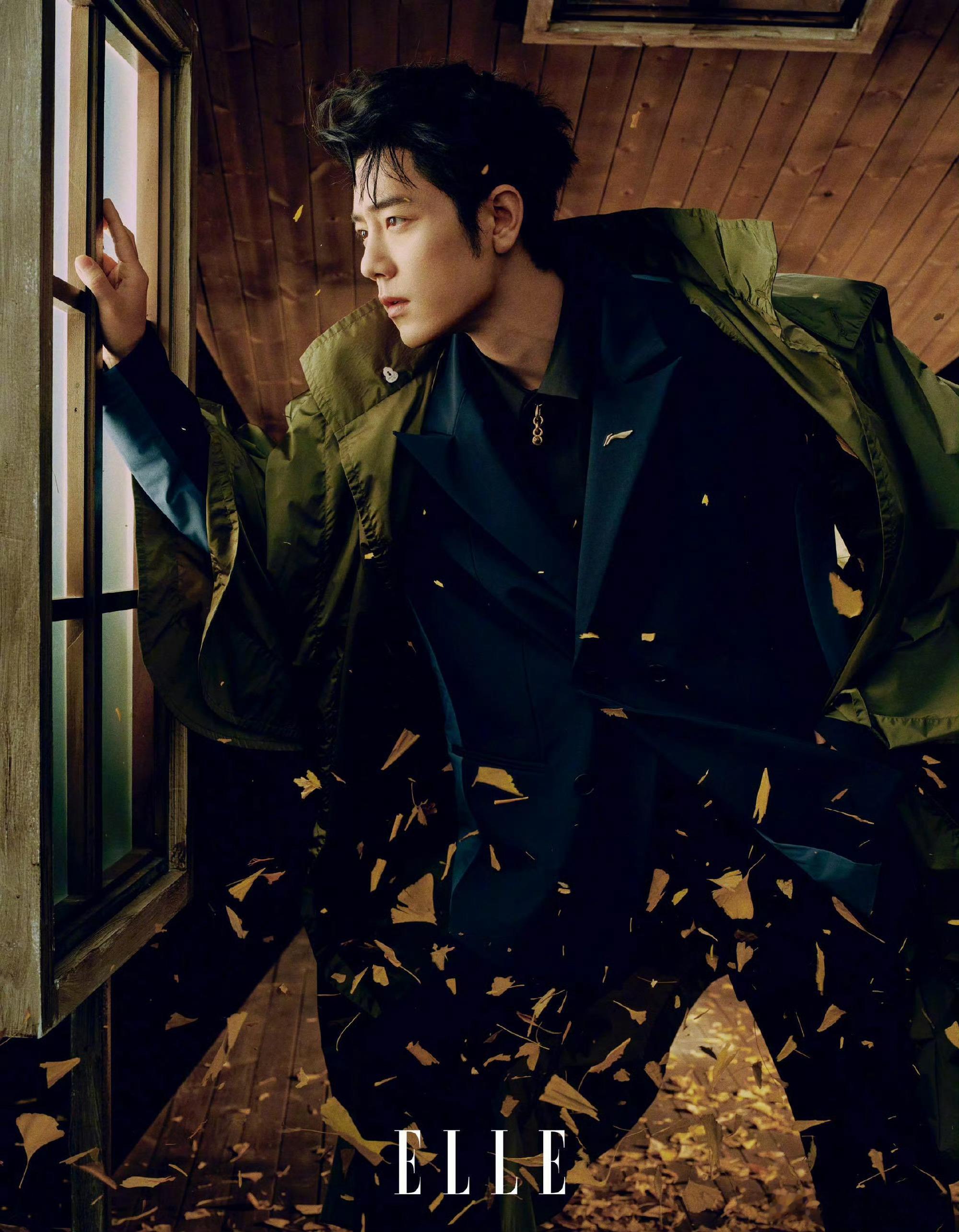 肖战觉得自己的个性更贴近秋天肖战接受自己肖战ELLE开年刊