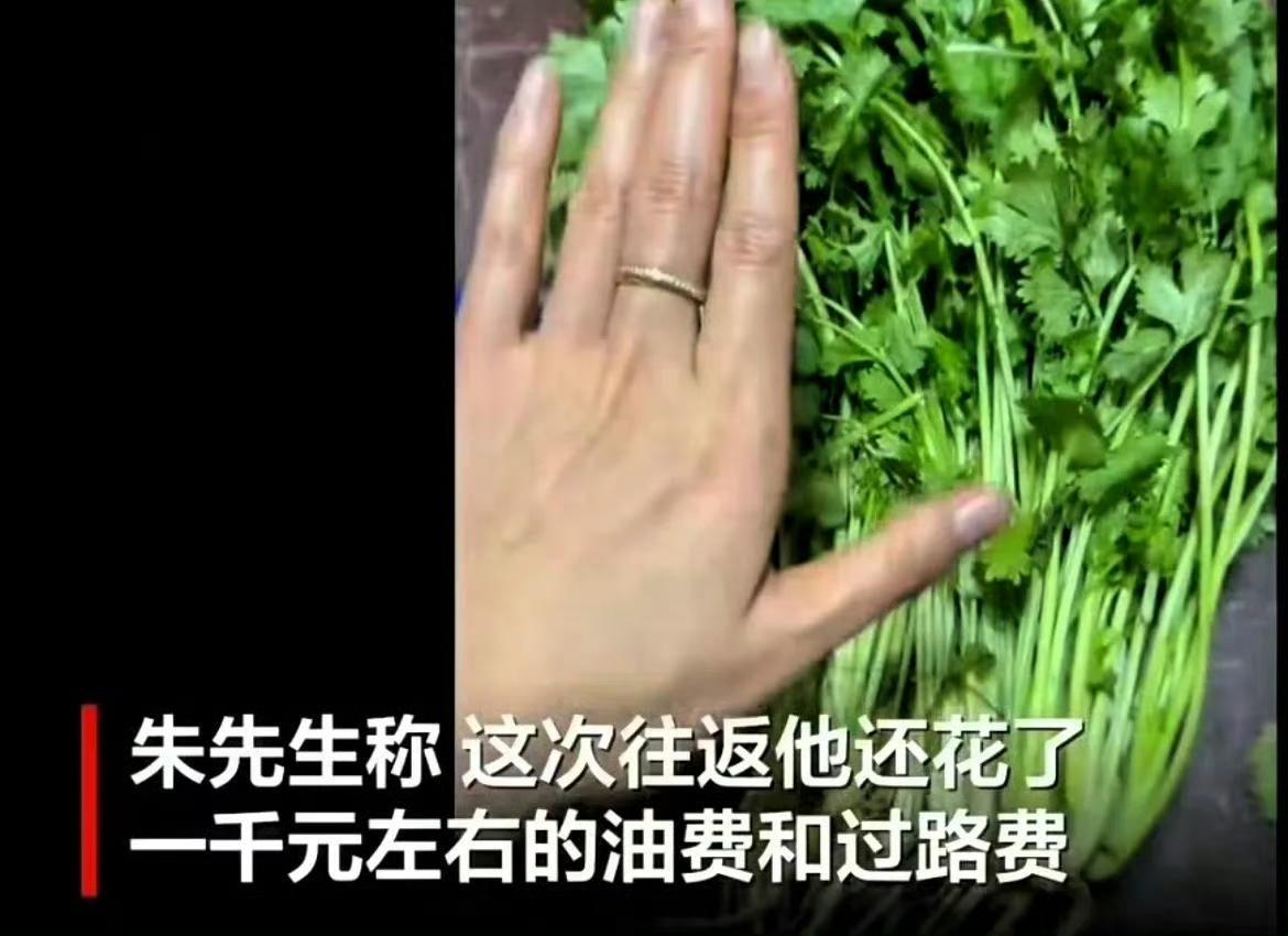 一笔 8.59 元的香菜订单，引发全网热议。
 
江苏徐州生鲜商家发货之后，上海