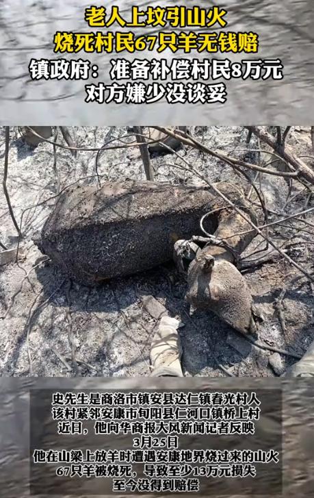 “见好就收吧！”老人上坟引发山火，烧死村民67只羊！老人要钱没有要命一条，政府无