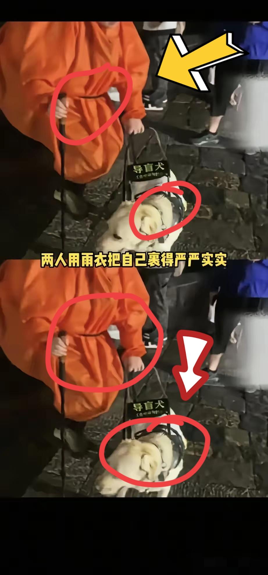 盲人夫妇带导盲犬爬泰山引争议，芬迪已被接回
 
近日，盲人夫妇带导盲犬“芬迪”雨