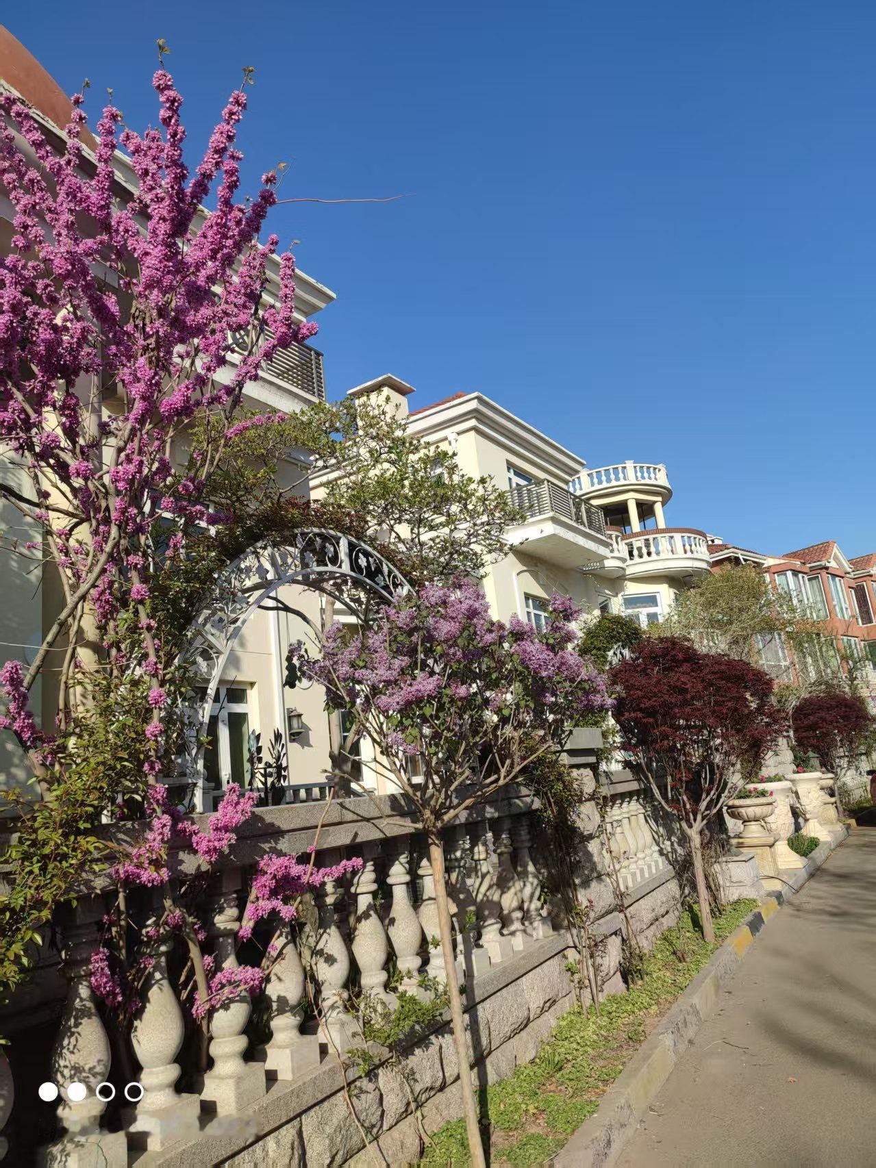 我就是独生子女的父母，而且已进入晚年，但我从来不认为老了会很凄惨，我亲身感受只要