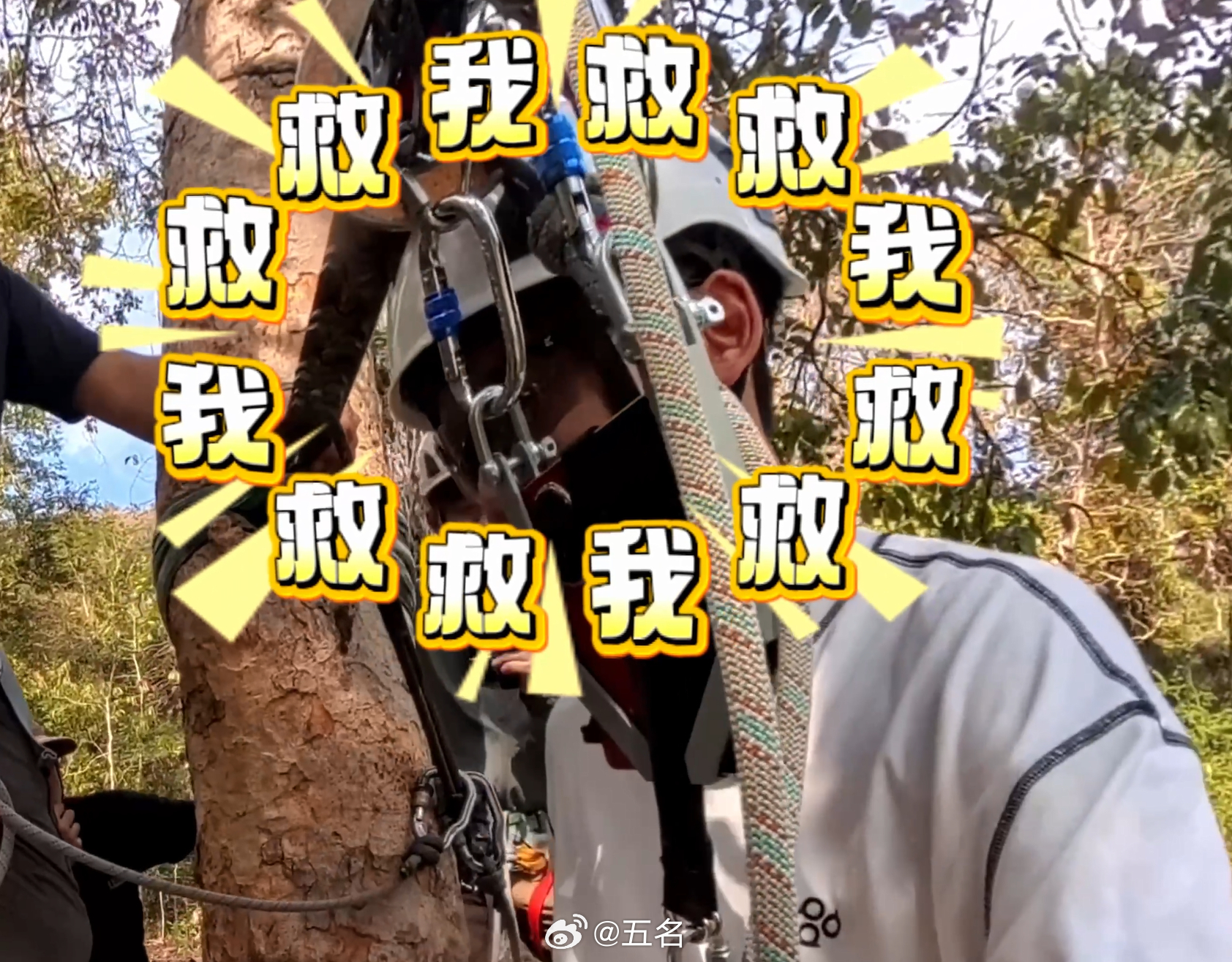 人生第一次滑索居然是用折叠屏荣耀MagicV6带飞李杰灵人生第一次滑索，居然是用