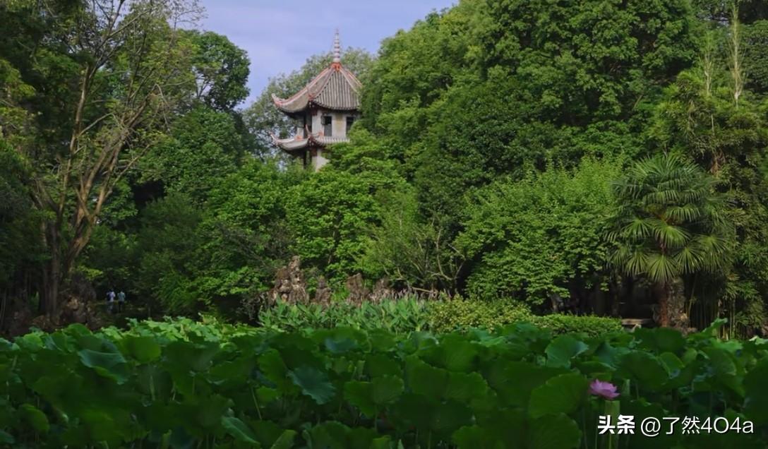 晒图笔记大赛怀旧是一座时光的桥梁，它让我们穿越时空，再次感受到那些消失在岁月长河