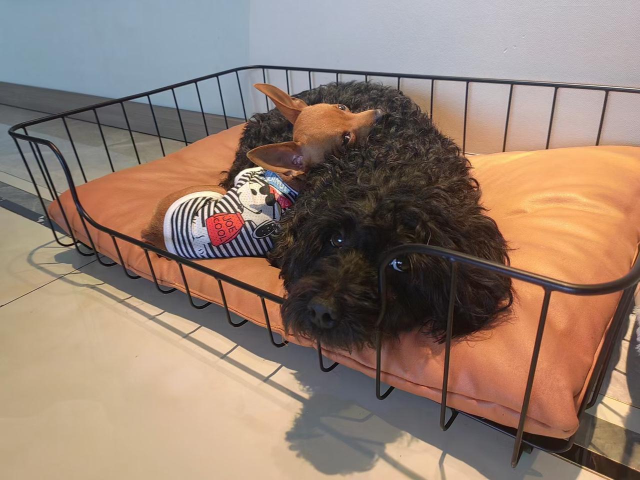 久没回家，第一口吃的饭菜感觉特香。人也一样，不经常见面的，反而更有亲切感。正常人