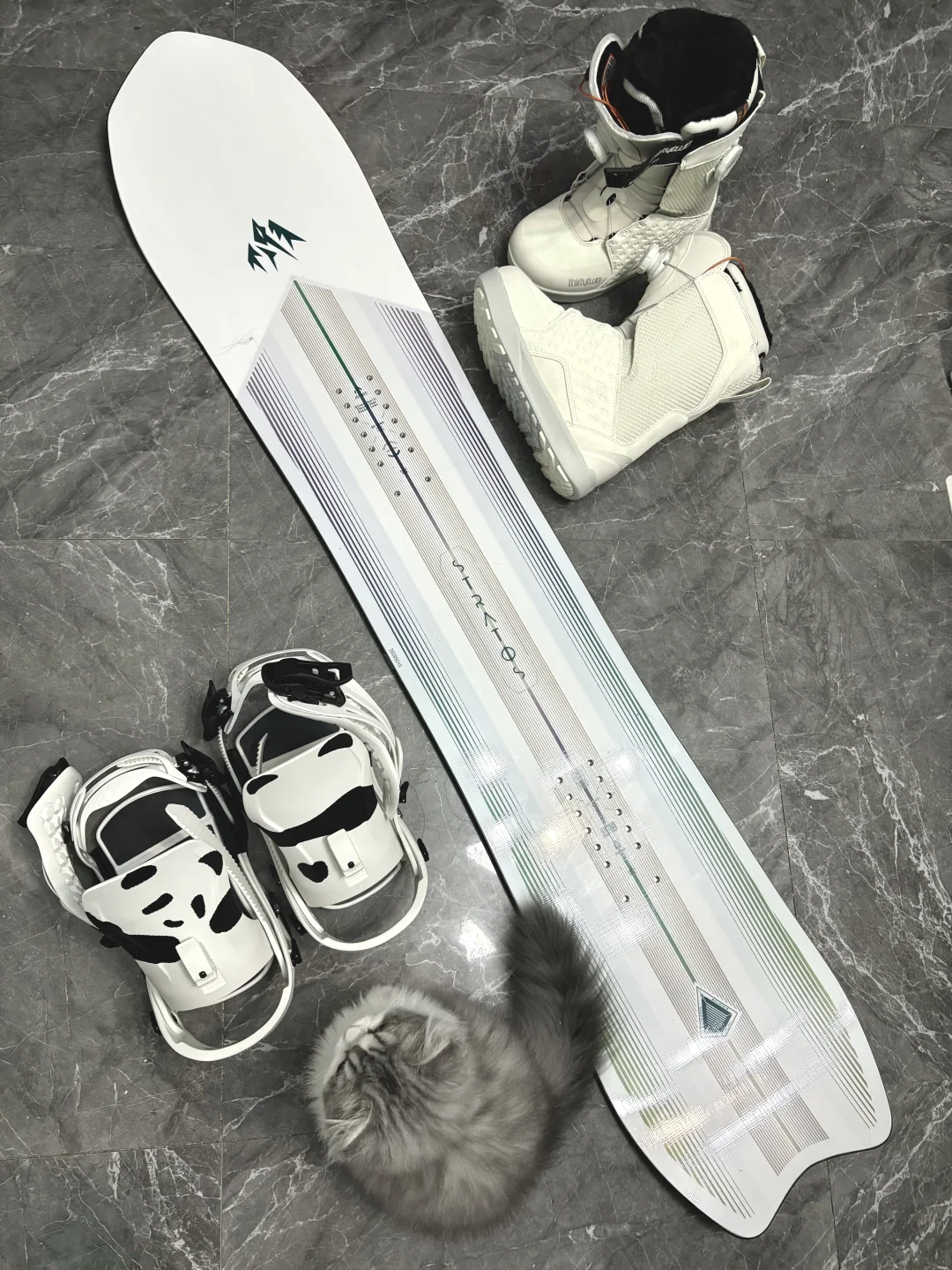 滑彗星jones ，当大山之女