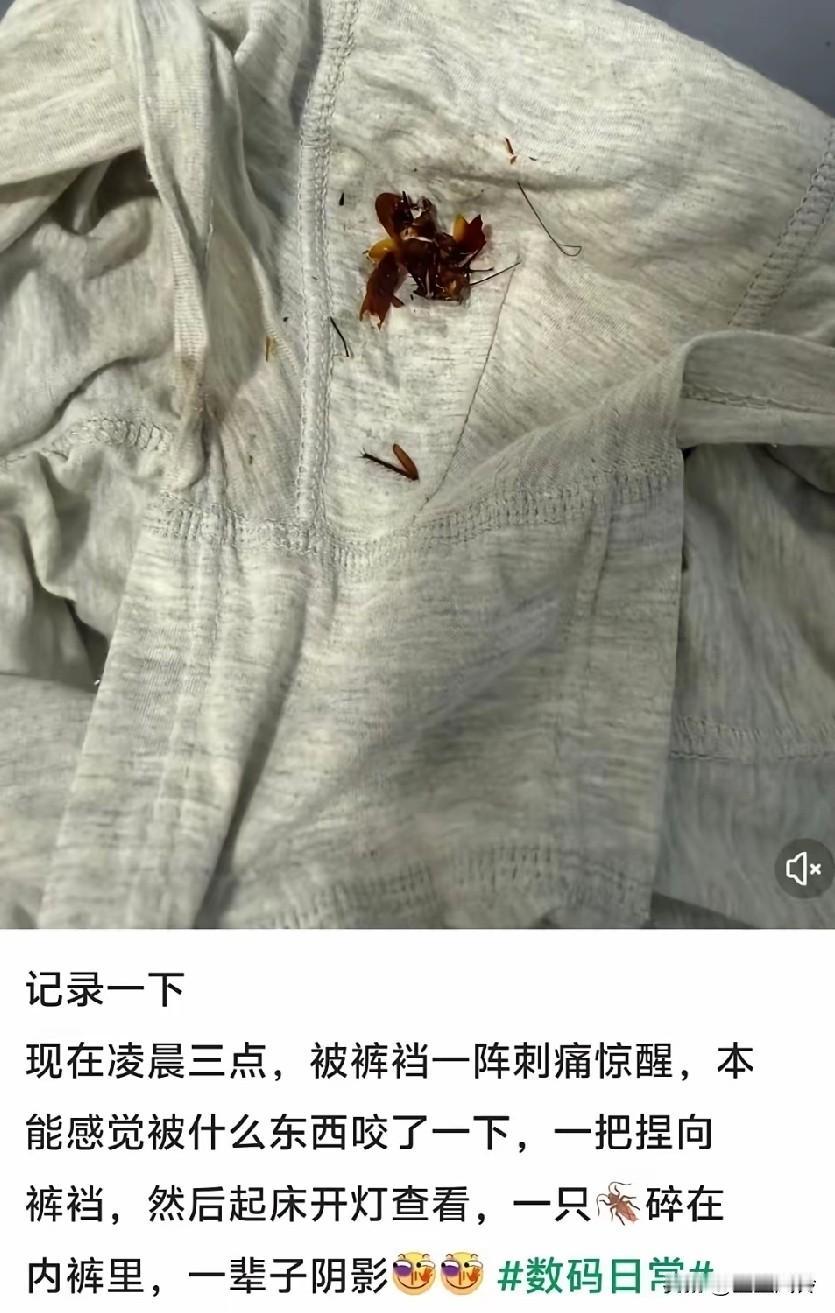 恭喜，变蟑螂超人了！
网友蛋蛋被蟑螂咬了[捂脸]！蟑螂去剔牙，结果被抓死了。被蟑