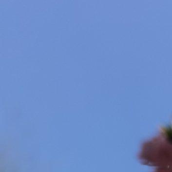平淡才是最好的礼物今天去医院看了一个朋友。不是大病，但需要在床上躺一阵子。他跟我