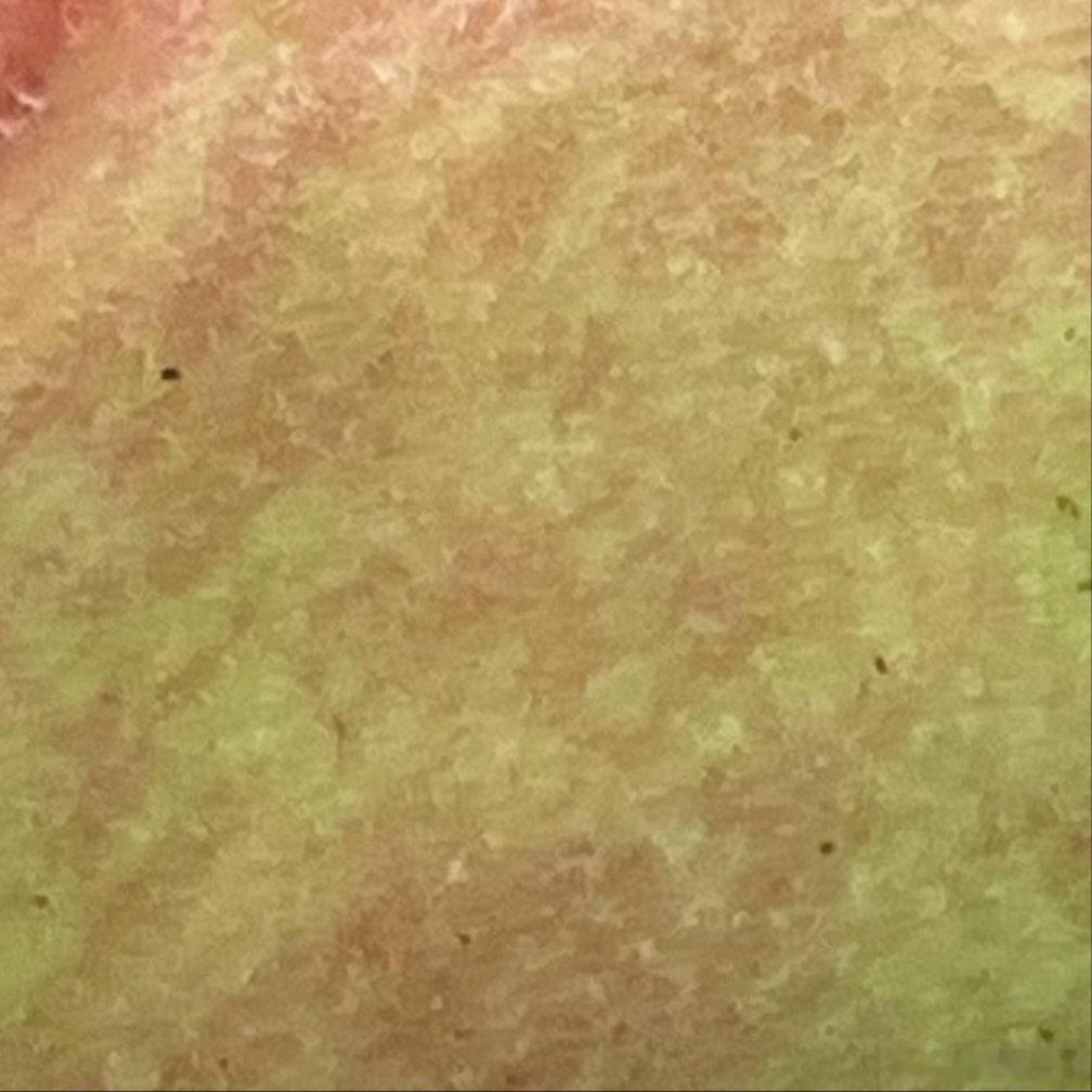 阳光充足，雨水少。今年的桃子比去年至少甜了5度。 