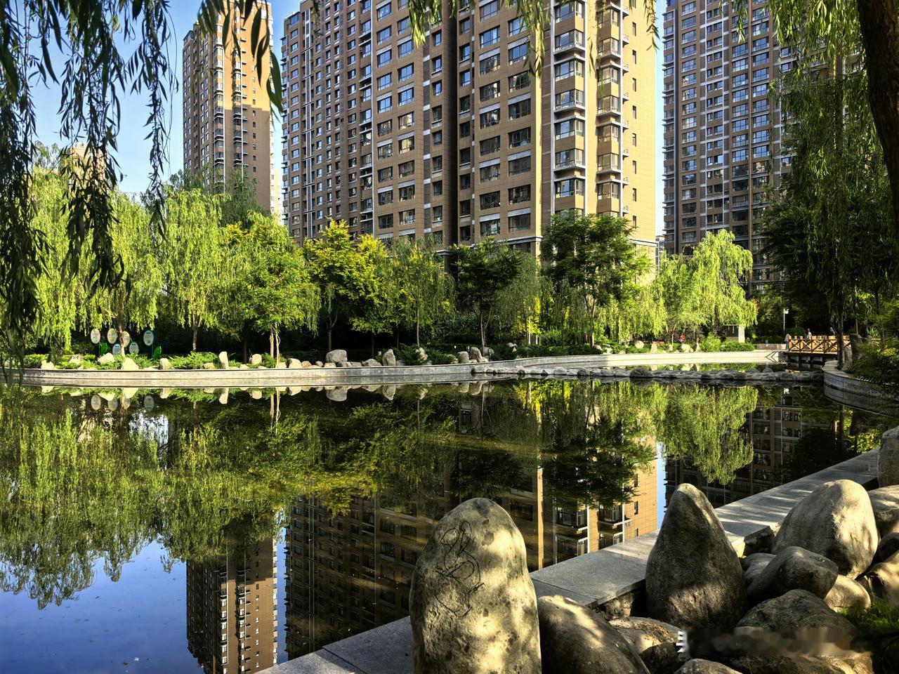垂柳映清波，楼宇临池揽尽晴光。