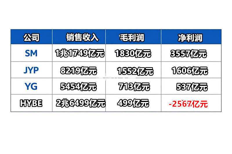 2025年4大企划社净利润表(单位：韩元) 