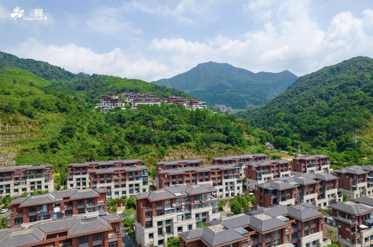 养花路尽头是别墅，去郊区买别墅种花
坐标福州贵安，这边的别墅就很白菜，比市区的老