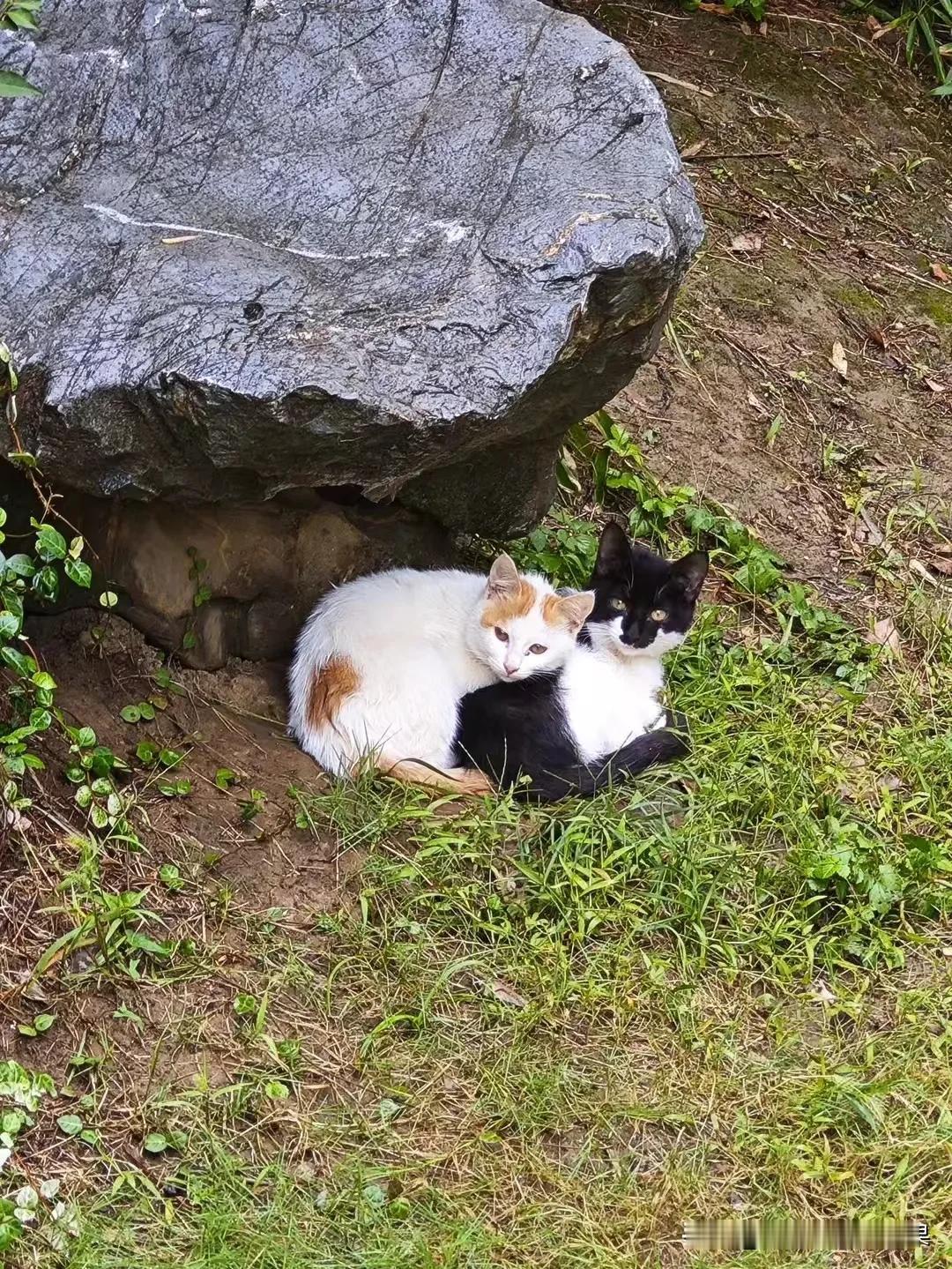 女人不愿意过夫妻生活的三大原因

1、太累了

毫不夸张的说，女生一旦累了啥也不