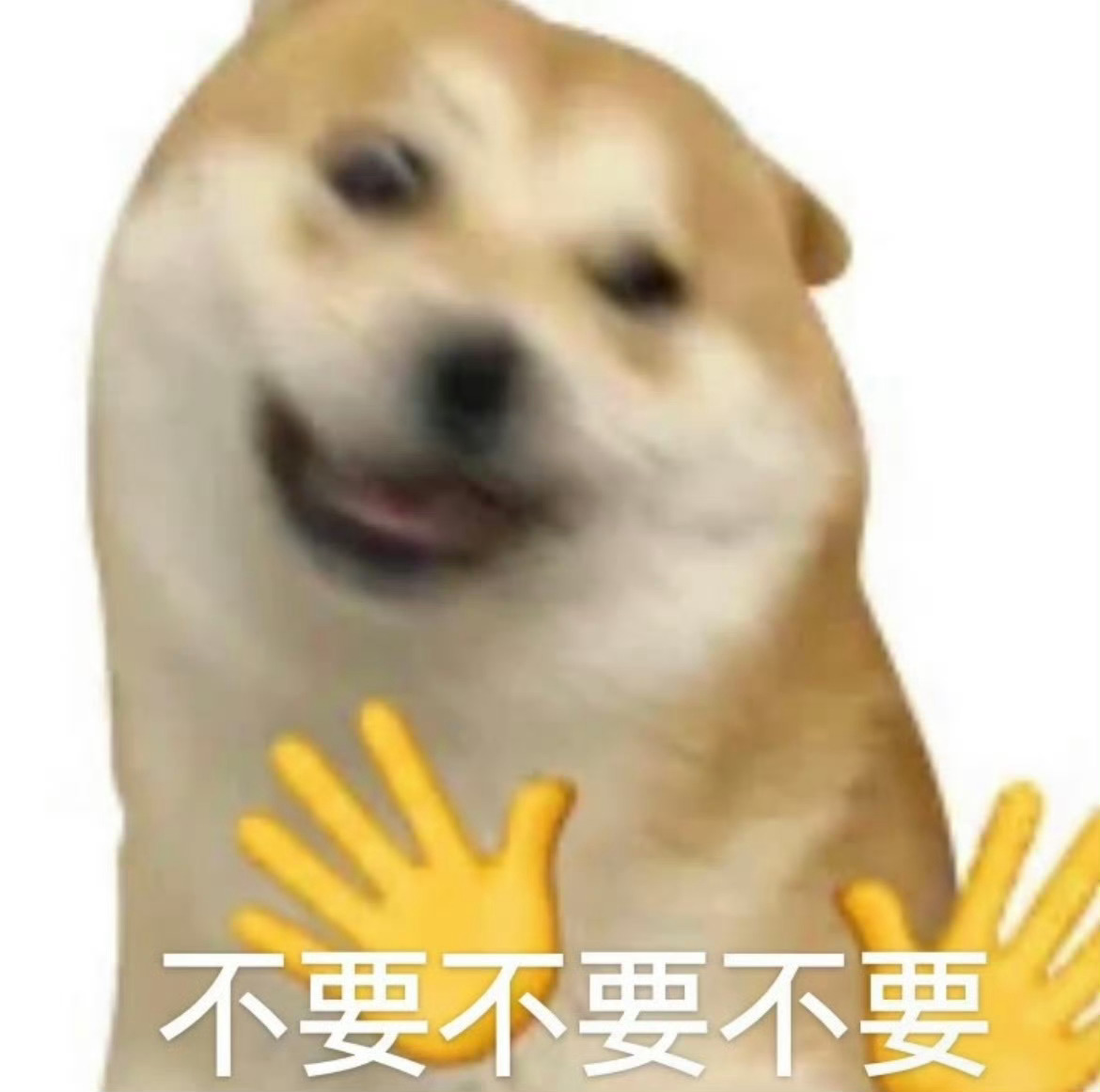 看到积分家的飞刀发的对镜自拍，我只能说什么样的主，吸什么样的粉，积分不是调丝就是