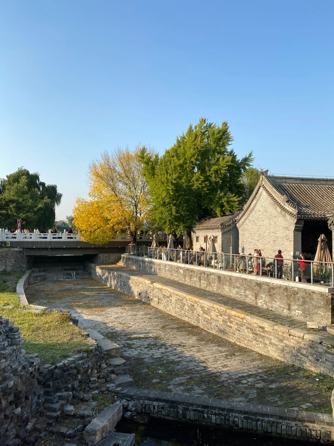 北京的秋天让我又明媚又漂亮！🍂
