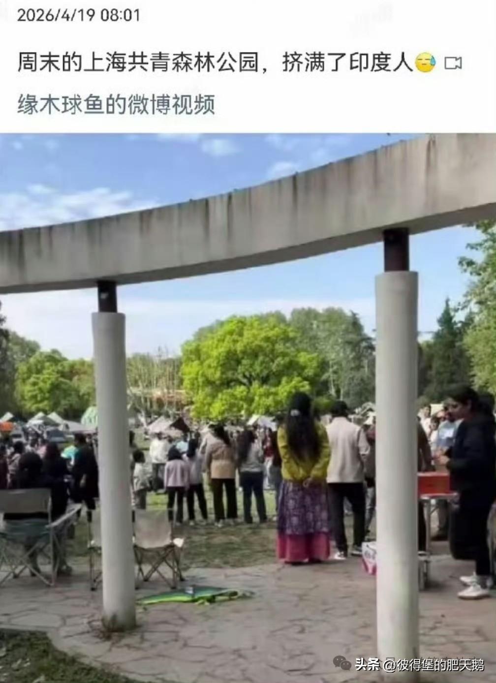 任何一个公司单位去雇佣印度人，都是在为中国的国家安全埋雷。

印度靠移民殖民全世