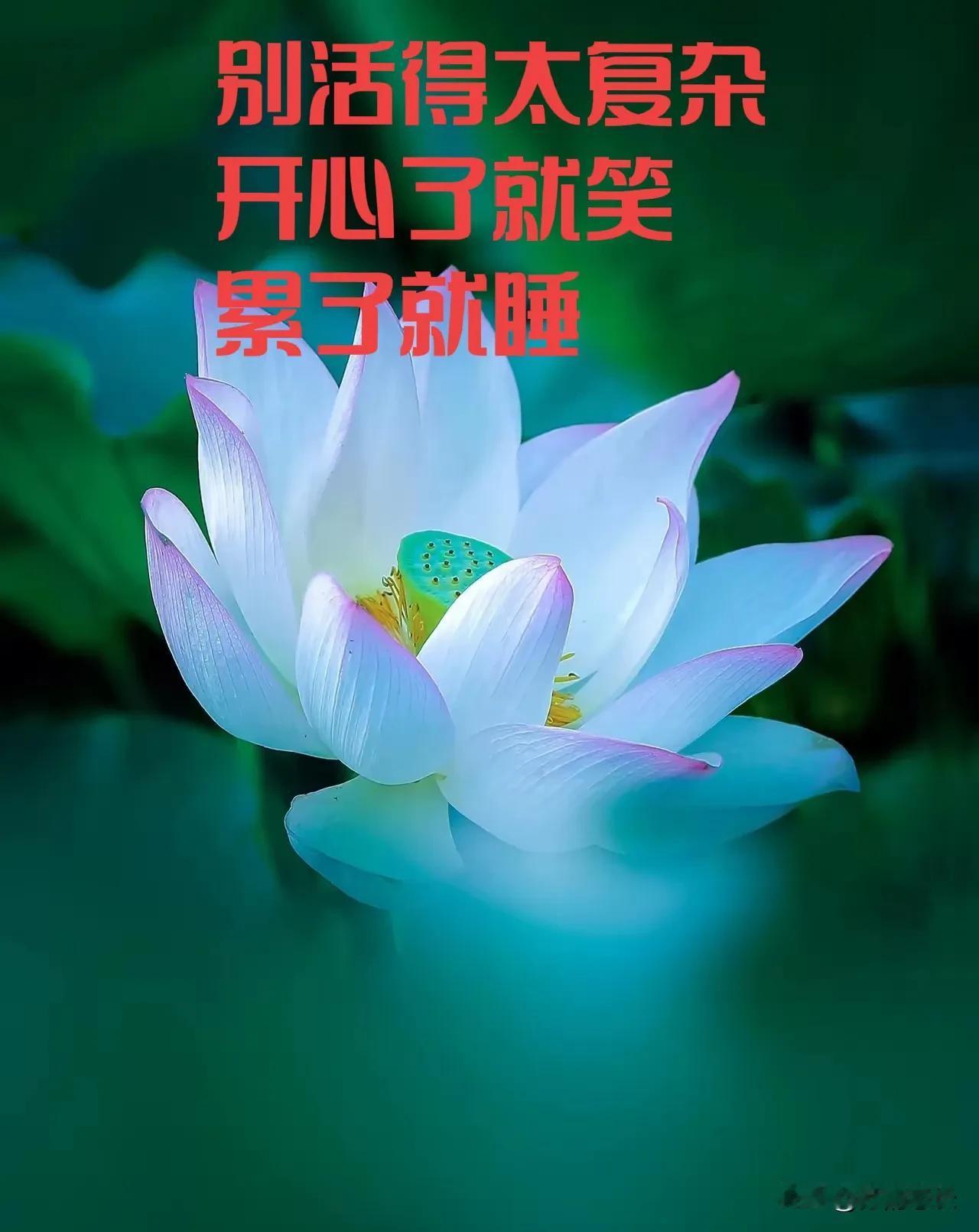 再抠的人一到医院就舍得了，
再犟的人一到医院就听话了，
再牛的人一到医院就蔫巴了