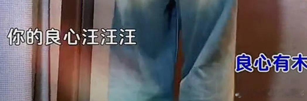 宋亚轩改伤不起歌词宋亚轩改伤不起歌词国乐无双