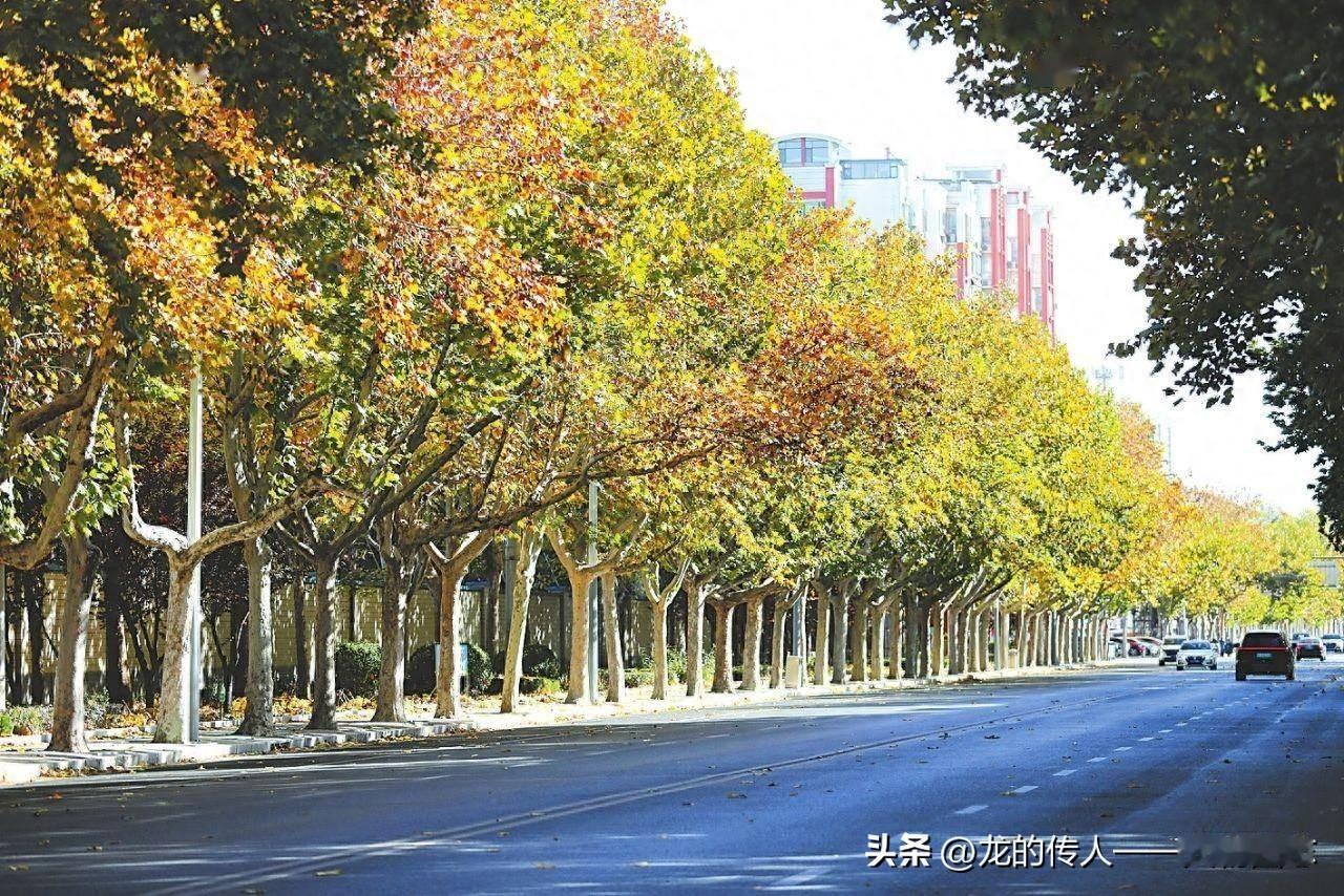 今年冬天的不同