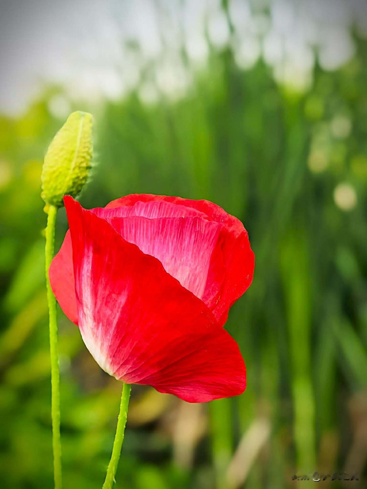 【小对联】
上：……？
下：军工。