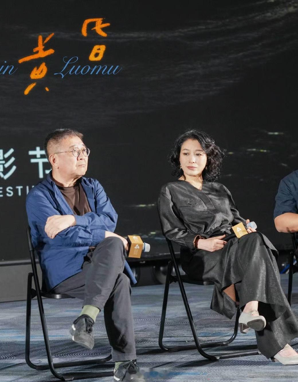 白百何作为「罗目的黄昏」女主并未出席本片在海南岛电影节主竞赛的活动，而是刘丹出席