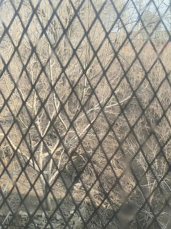 别再傻傻对一个人太好了，真的不值！

人心这东西，最经不起考验，

很多时候，你