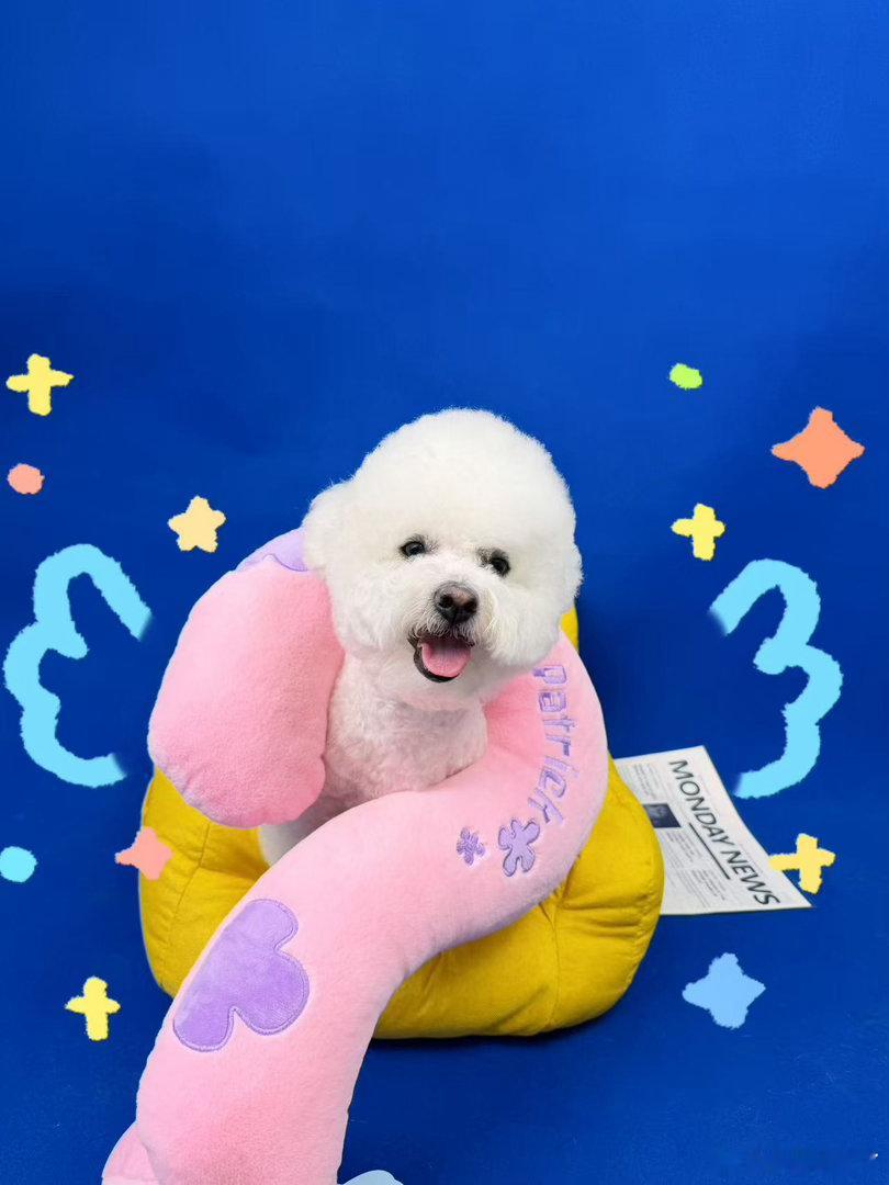 开门 系我 