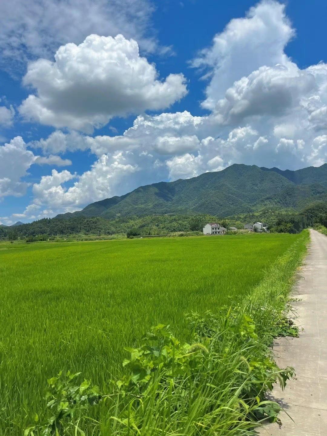 乡村很平淡，却藏着岁月静好。