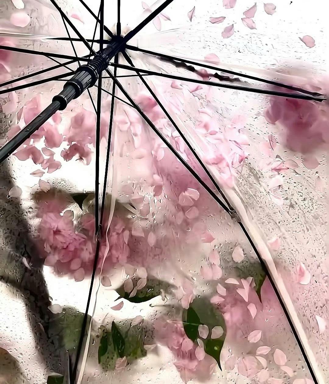 无语了 我以为今天这雨要大下一场 刮这么大的风还说有暴雨 心想天气终于可以凉快了