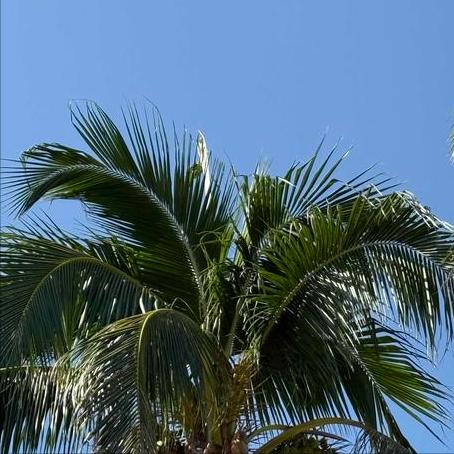 法经济、财政和工业、能源与数字主权部部长莱斯屈尔在通话时这样说
 
11月24日