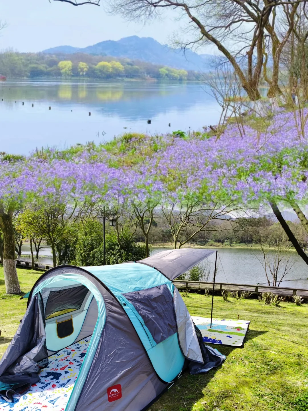 后悔才知道‼️西湖茅家埠竟然可以免费露营👏