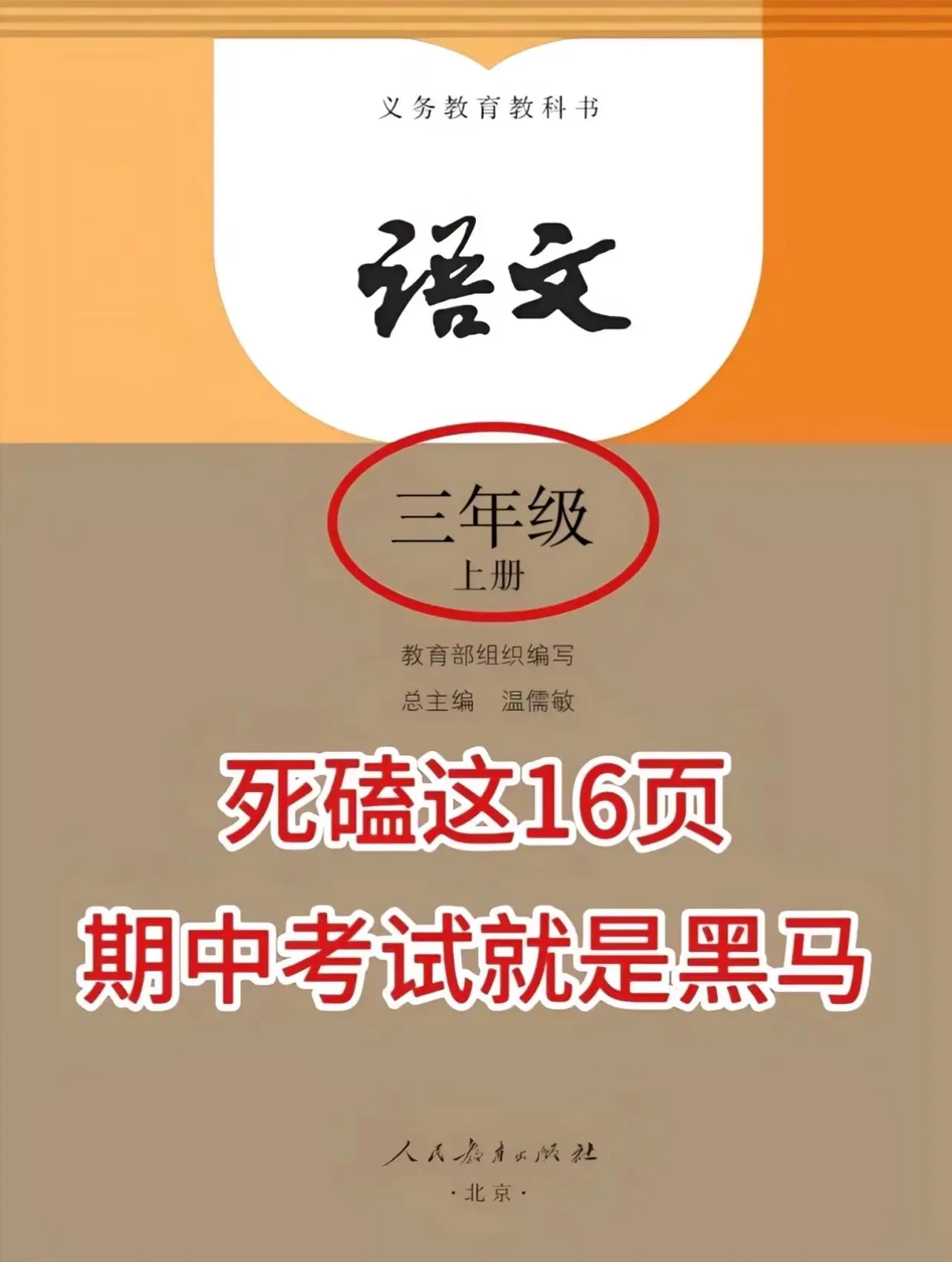 三年级上册语文期中复习知识点汇总‼️。