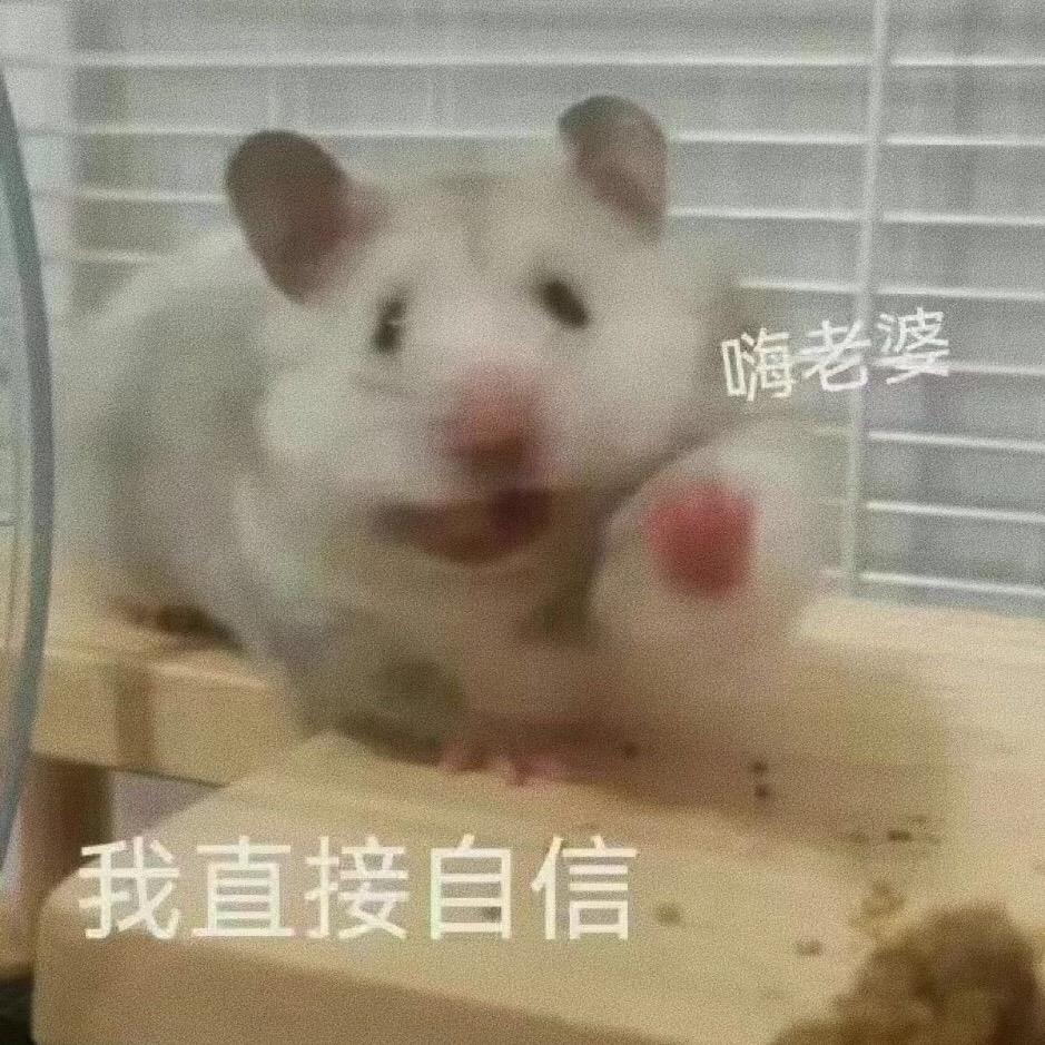 论打招呼的方式，我直接一步到位！趣味表情包