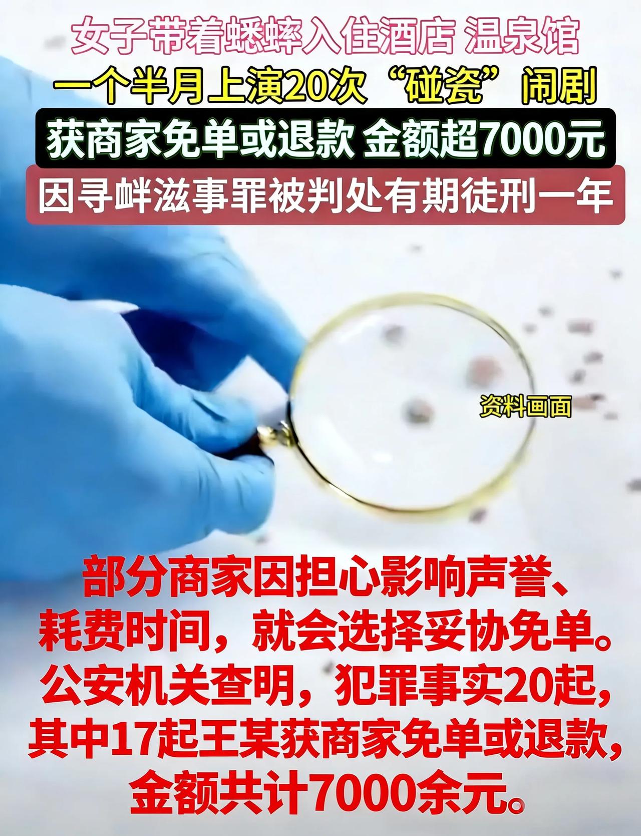 女子白嫖七千多！带蟋蟀专业碰瓷，亲手把自己送进监狱

真的是林子大了，什么鸟都有