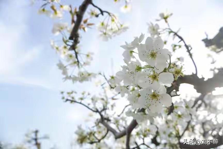 做到内容垂直实在是太难了！
垂直需要在专业领域深耕细作，
只有专业且学识渊博的人