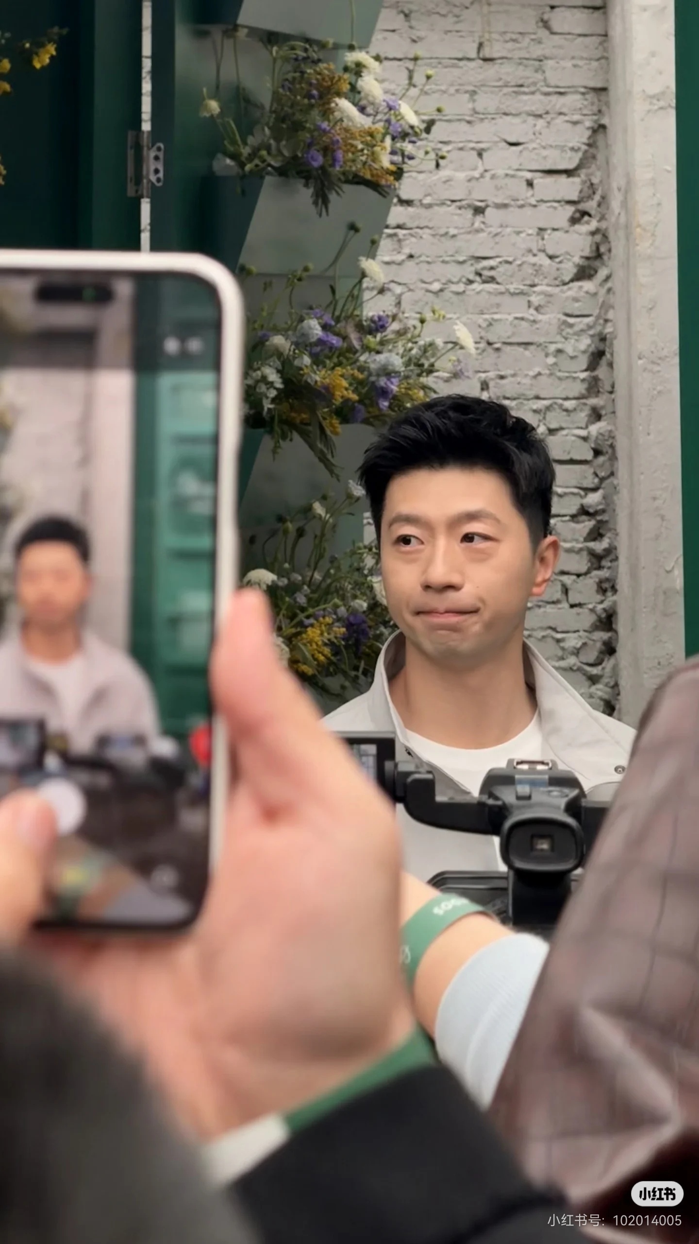 软软糯糯的马龙