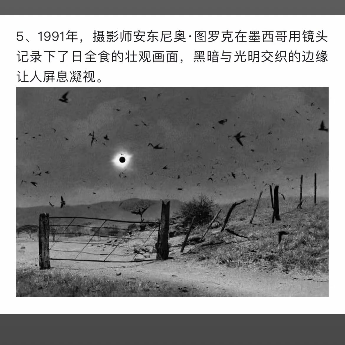 1991年日全食震撼瞬间，摄影师安东尼奥·图罗克捕捉到的壮丽画面。