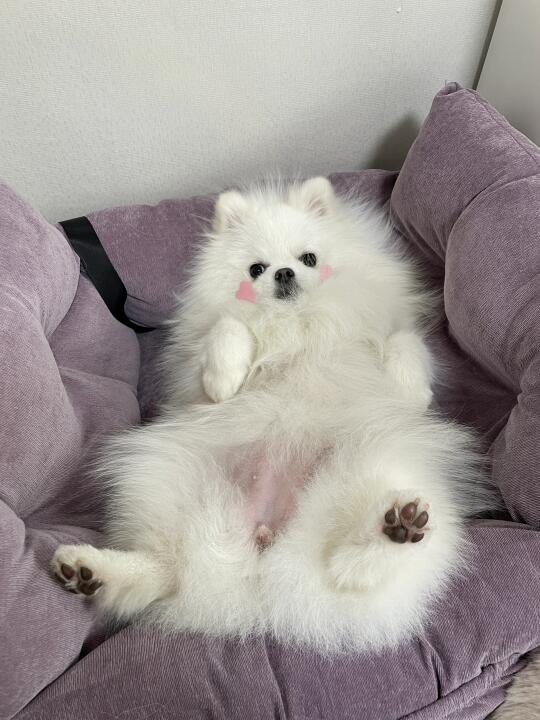 🦶🏿首图足控福利🐾