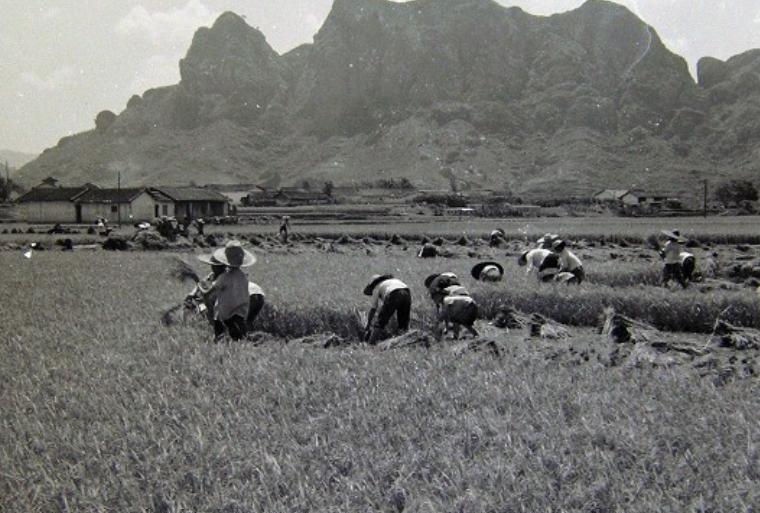 1977年，知青大返城，一个女知青来到男友的住处，她颤抖地解开衣扣说：“对不起，