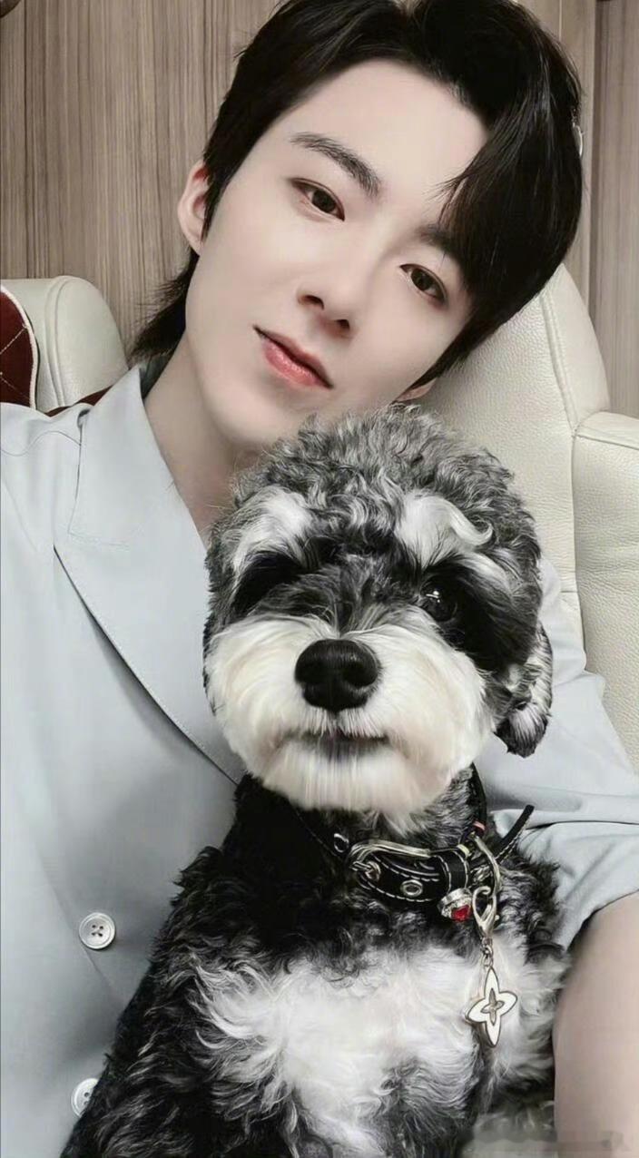 刘宇宁的狗都能出道了刘宇宁的小狗呆米也开始给自己整上副业了！经常跟宁哥一起上班相