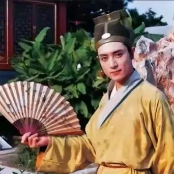 87版《红楼梦》里的贾链和柳湘莲是公认的大帅哥，其实还有一位演员的颜值不容小觑，