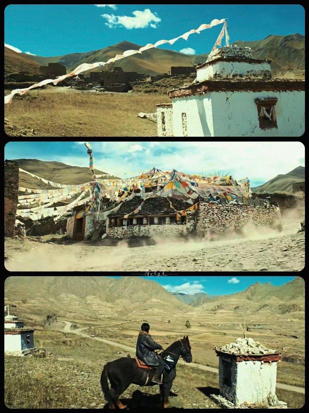 生命树不仅条件艰苦而且用心良苦 《生命树》用行动证明：真正的“还原”没有捷径。从