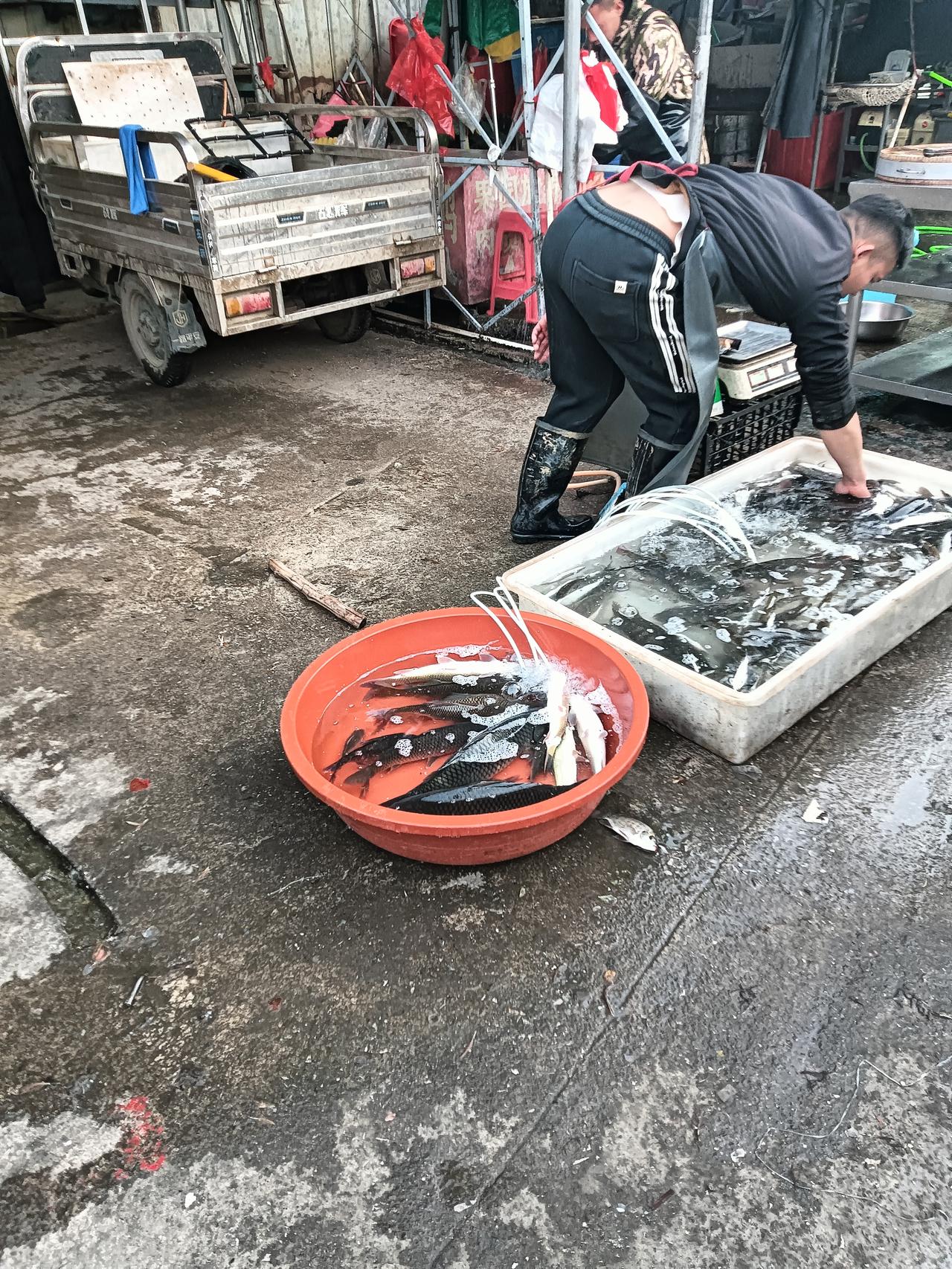 贵港市位于郁江水域旁这里盛产江鱼，中午经过港北龙圣小市场，听讲这里面有多摊江鱼出